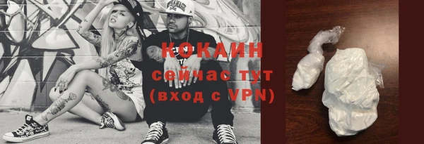 мет Няндома