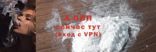 стафф Кодинск