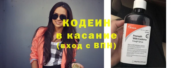 мет Няндома