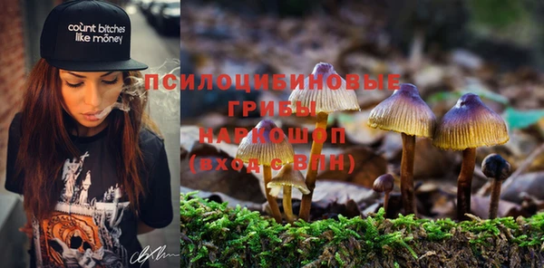 мет Няндома