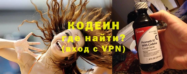 мет Няндома
