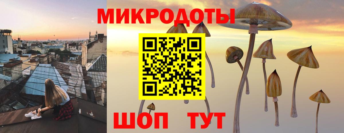 Псилоцибиновые грибы мухоморы Реж